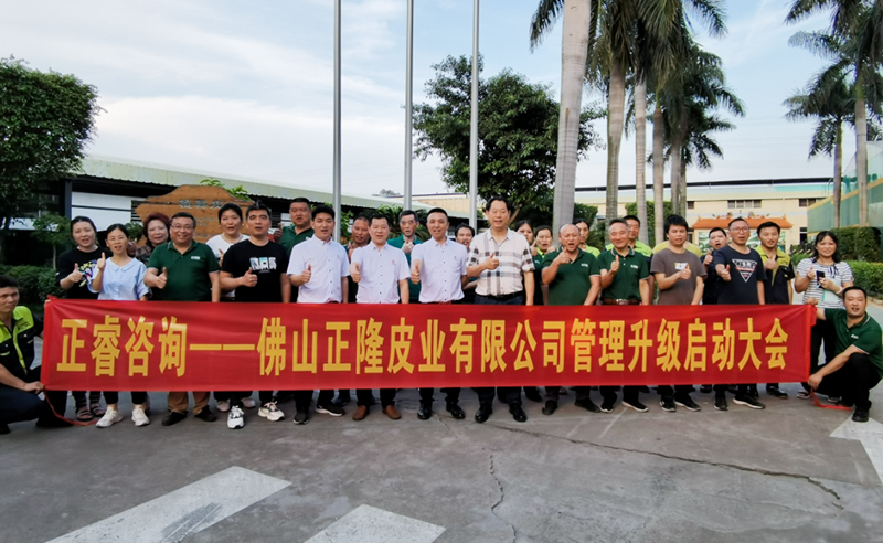助力皮革行業(yè)再樹標(biāo)桿——正隆皮業(yè)全面管理升級(jí)項(xiàng)目啟動(dòng)！