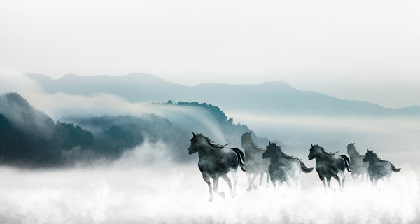 企業(yè)戰(zhàn)略規(guī)劃：為企業(yè)制定全面、長(zhǎng)遠(yuǎn)的發(fā)展戰(zhàn)略