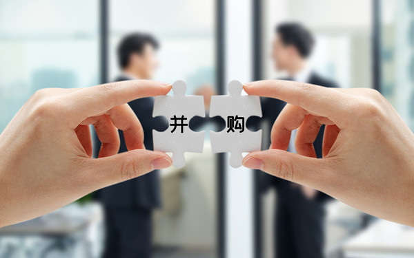 戰(zhàn)略投資與并購(gòu)：拓展企業(yè)規(guī)模，增強(qiáng)市場(chǎng)競(jìng)爭(zhēng)力