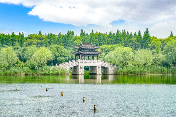 常州市場(chǎng)變化下，企業(yè)管理咨詢(xún)新趨勢(shì)是什么？