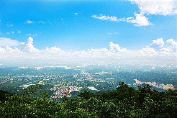 企業(yè)戰(zhàn)略飄在半空落地難，惠州戰(zhàn)略咨詢公司能錨定方向嗎？