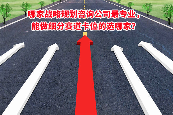 哪家戰(zhàn)略規(guī)劃咨詢公司最專業(yè)，能做細(xì)分賽道卡位的選哪家？